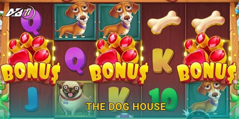 The Dog House vui nhộn – Trúng thưởng bất ngờ tại Ab77 1 The Dog House vui nhộn – Trúng thưởng bất ngờ tại Ab77