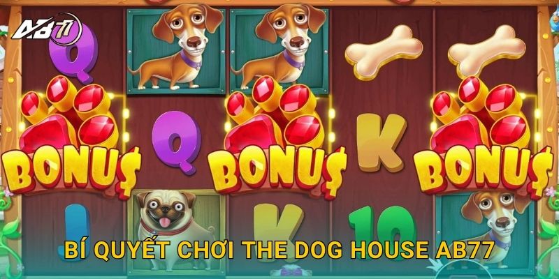 The Dog House vui nhộn – Trúng thưởng bất ngờ tại Ab77 3 Bí quyết chơi The Dog House Ab77