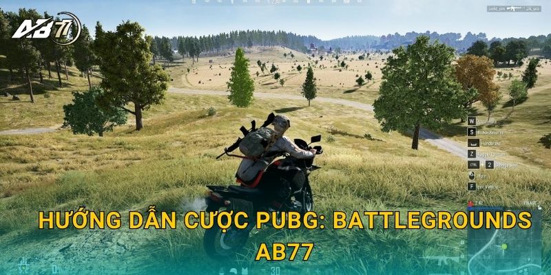 PUBG: Battlegrounds sinh tồn – Kèo cược hấp dẫn tại Ab77 2 Hướng dẫn cược PUBG: Battlegrounds Ab77